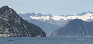 Alaska Cruise Transfer Tour